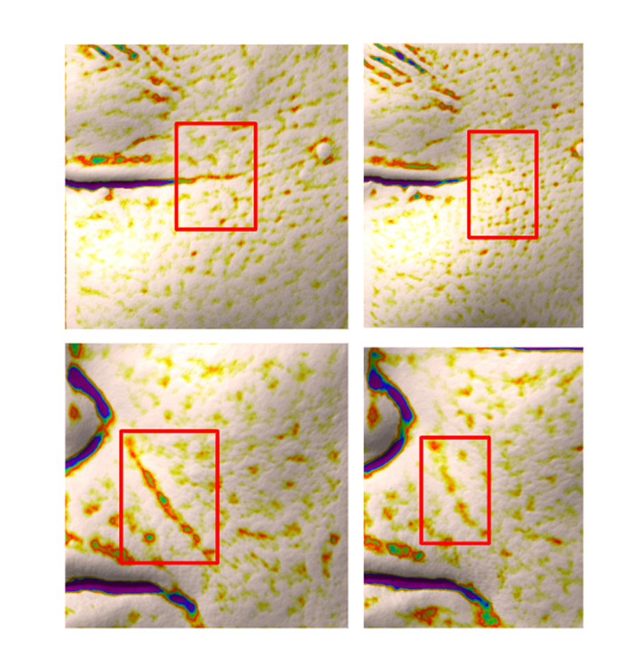 7.13% improvement in fine wrinkles around the eyes and 15.64% improvement in fine wrinkles around the nasolabial folds after 2 weeks of use