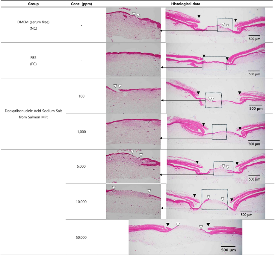 PDRN Cream Artificial Skin Wound Healing Evaluation Trial